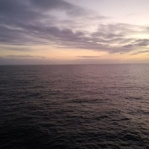 Meet your Posher, Arturo